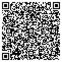 QR code with Lily contacts