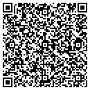 QR code with Blue Water Appraisals contacts