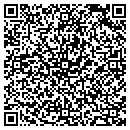 QR code with Pulliam Chiropractic contacts