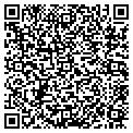 QR code with V-Logic contacts