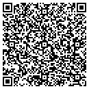 QR code with Professional Solutions contacts