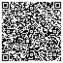 QR code with Ppm Technologies LLC contacts