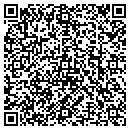 QR code with Process Systems LLC contacts