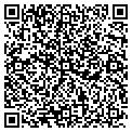 QR code with B W Carousels contacts