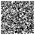 QR code with Rise LLC contacts
