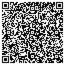 QR code with Cobra Plastering contacts