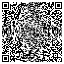 QR code with Chenega Ira Council contacts