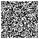 QR code with Prolman David contacts