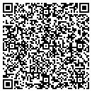 QR code with Career Placements Inc contacts