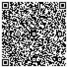 QR code with Bluelevel Technologies contacts