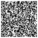 QR code with Prizm Concrete contacts