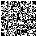 QR code with Punky's Place LLC contacts