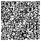 QR code with BLAZE CONVEYOR LLC contacts