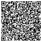 QR code with Premier Concrete L L C contacts