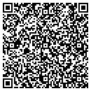 QR code with County Line Express contacts
