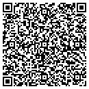QR code with Chicago Maxi Mix Inc contacts