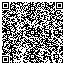 QR code with County Line Auction contacts