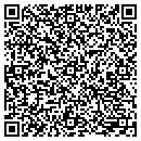QR code with Publicis Dialog contacts