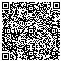 QR code with Decal contacts