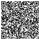 QR code with Psi Napse Staffing contacts