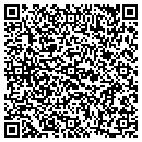 QR code with Project Dl LLC contacts