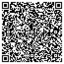 QR code with Pullout Connection contacts