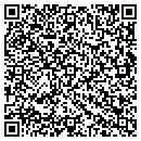 QR code with County DO It Center contacts