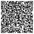 QR code with Cyberauctions contacts