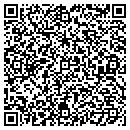 QR code with Public Service Skills contacts