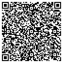 QR code with Costanza Construction contacts