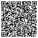QR code with D W Hill Inc contacts