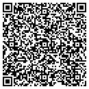 QR code with Career Transitions contacts