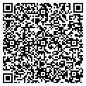 QR code with T Foss contacts