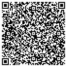 QR code with Pulse Transportation contacts