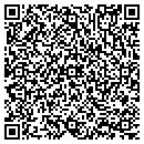 QR code with Colors Of Nature L L C contacts