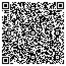 QR code with Precision Dimensions contacts