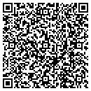 QR code with Protiviti Inc contacts