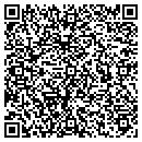 QR code with Christian Flower Inc contacts