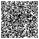 QR code with Clinton Flower Shop contacts
