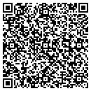 QR code with Borlaug Systems Inc contacts