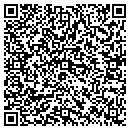 QR code with Bluestreak Industries contacts