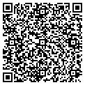 QR code with Attic contacts
