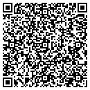 QR code with Premium Systems contacts