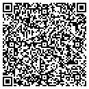 QR code with Public Auction Corp contacts