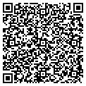 QR code with L Ti contacts