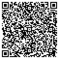 QR code with Amway contacts