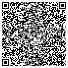QR code with P & J Trailer Sales LLC contacts