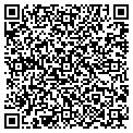 QR code with Cogneo contacts