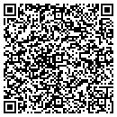 QR code with Precise Staffing contacts