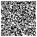 QR code with Public Data Works contacts